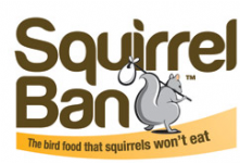 Squirrel Ban Photo