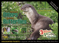 Otters and Butterflies Photo