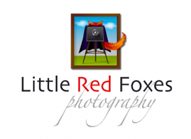 Little Red Foxes Photo