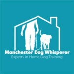 Manchester Dog Whisperer Photo