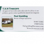 TVH Treecare Photo