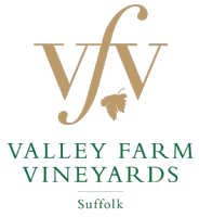 Valley Farm Vineyards Photo