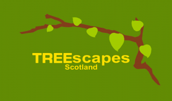 Treescapes Scotland Photo