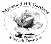 Marwood Hill Garden, Tea Room and Plant Nursery Photo