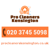 Professional Cleaners Kensington Photo