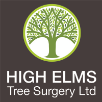 High Elms Tree Surgery Ltd Photo