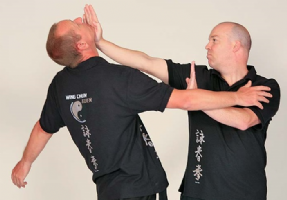 Meridian Kung Fu Brentwood Photo