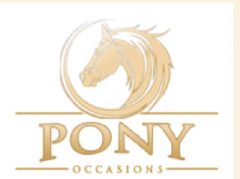 Pony occasions Photo