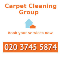 Professional Carpet Cleaners Photo