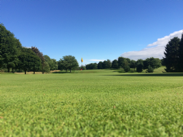 Hexham Golf Club Photo