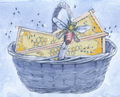 A Basket of Bees Photo