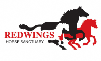 Redwings Horse Sanctuary Photo