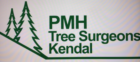 PMH Tree Surgeons Photo