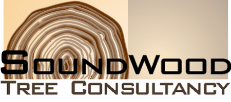 SoundWood Tree Consultancy Photo