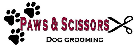 Paws & Scissors Dog Grooming Photo