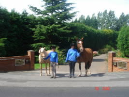 Glen Jakes Riding School Photo