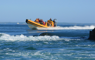 Venture Jet (Jet Boat Adventures) Photo