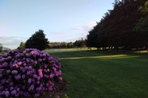 Southport Golf Academy Photo