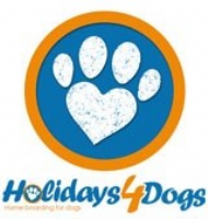 Holidays4Dogs Gloucestershire Photo