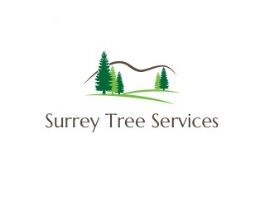Surrey Tree Services Photo