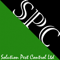 Solution Pest Control  Photo