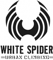 White Spider Climbing Photo