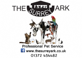 The Surrey Ark Photo