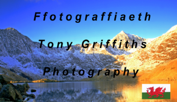Tony Griffiths Photography Photo