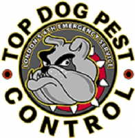 Top Dog London Pest Control Photo