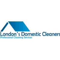 London''s Domestic Cleaners Photo