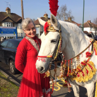 Wedding horses Photo