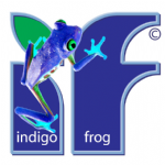 Indigo Frog Graphic Solutions Photo