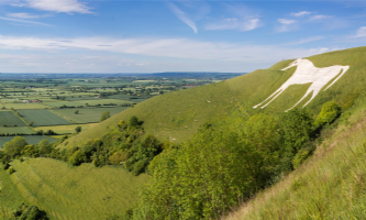 White Horse Employment Photo