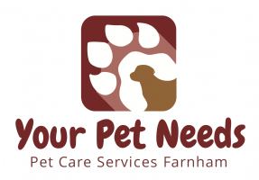 Your Pet Needs Photo