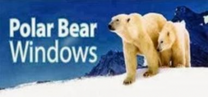 Polar Bear Windows LTD Photo