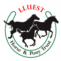 The Lluest Horse and Pony Trust Photo