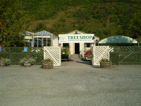 The Tree Shop Garden Centre and Cafe Photo