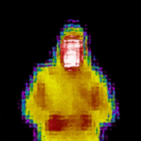 ThermalSurveys.com Photo