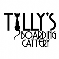 Tilly's Boarding Cattery Photo