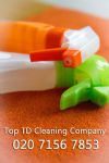 Top TD Cleaning Company Photo