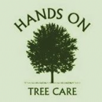 handsontreecare.com Photo