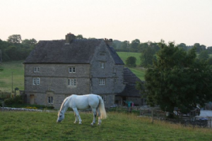 Netherton Hall Livery Stables Photo