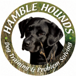 HAMBLE HOUNDS, Dog Training and Problem Solving Photo