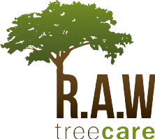 R.A.W Tree Care Photo