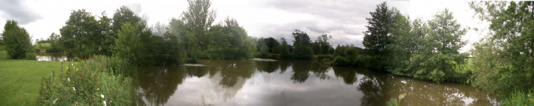 SILVER BIRCH FISHERIES  Photo