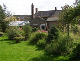 Stonehouse Cattery Photo