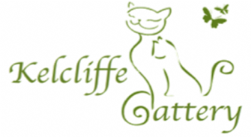 Kelcliffe Cattery Photo