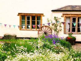 Huntstile Organic Farm Photo