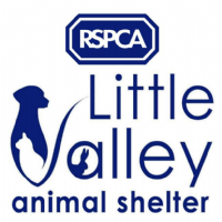 RSPCA Little Valley Animal Shelter Photo