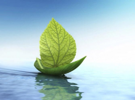 Smart Holistics Photo